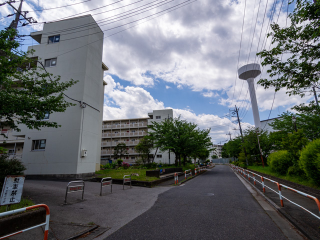 画像を別ウィンドウで表示します 画像