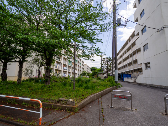 画像を別ウィンドウで表示します 画像