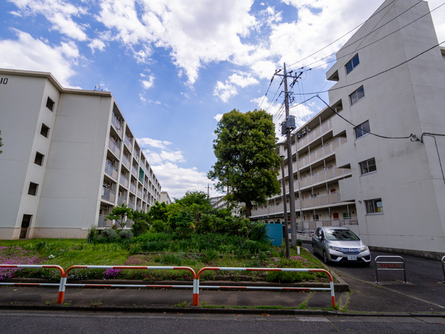 画像を別ウィンドウで表示します 画像
