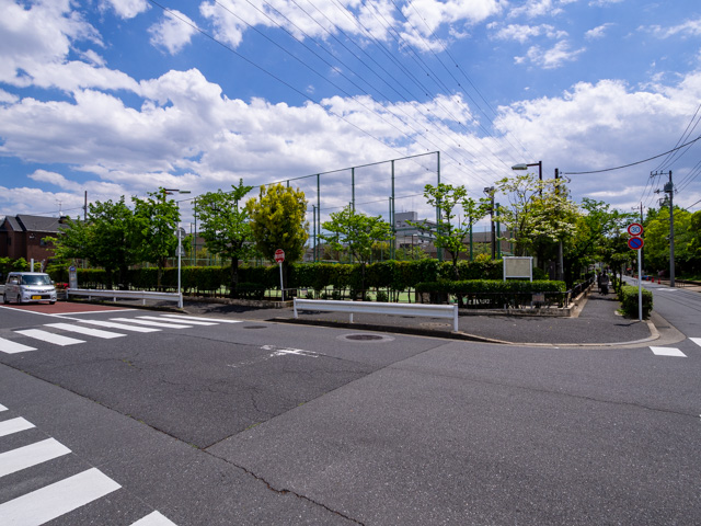 画像を別ウィンドウで表示します 画像