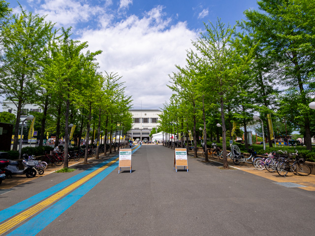 画像を別ウィンドウで表示します 画像