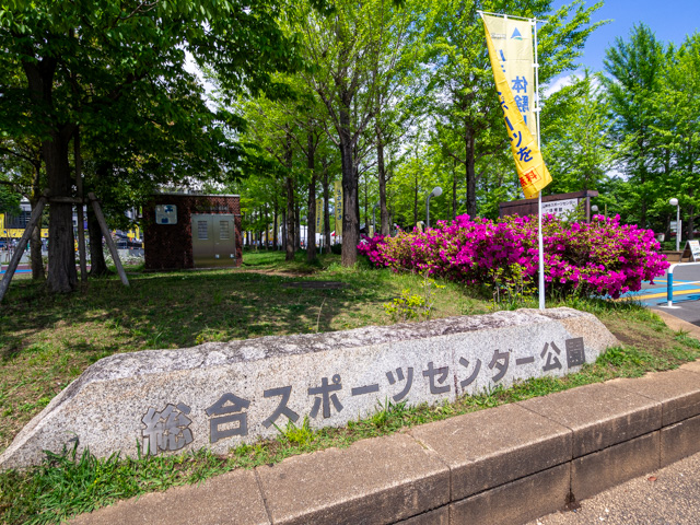 画像を別ウィンドウで表示します 画像