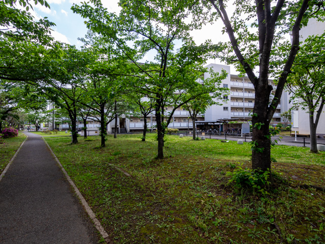 画像を別ウィンドウで表示します 画像
