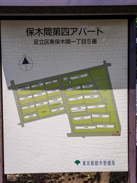 画像を別ウィンドウで表示します 画像