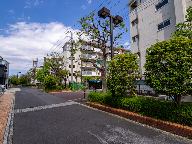 画像を別ウィンドウで表示します 画像