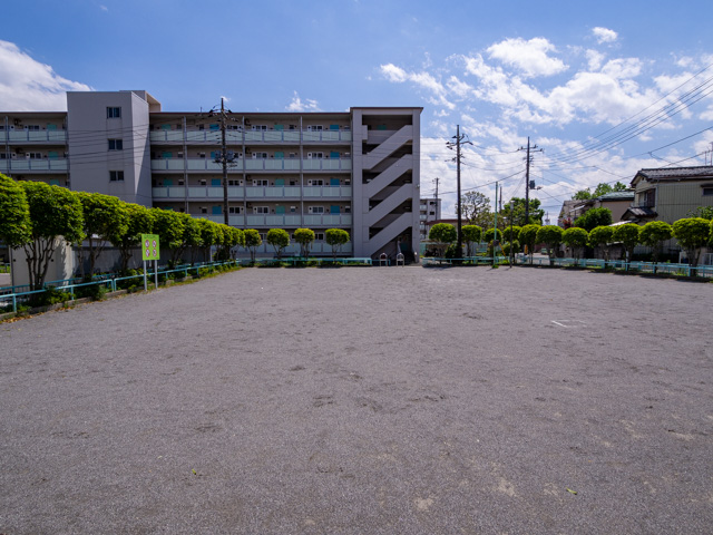 画像を別ウィンドウで表示します 画像