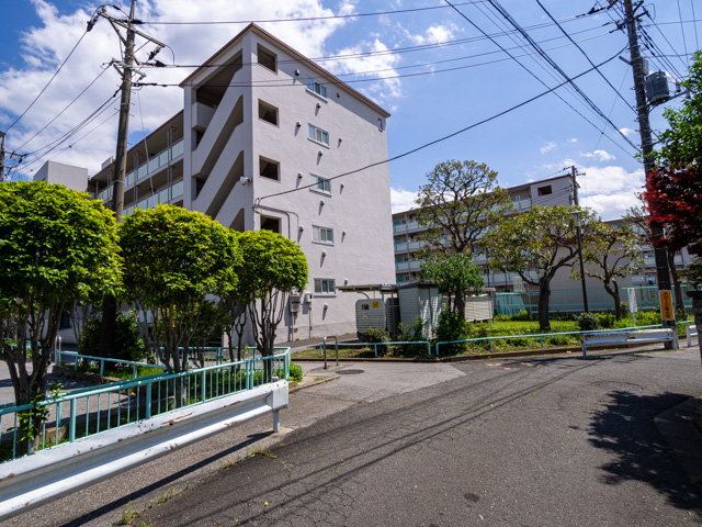 画像を別ウィンドウで表示します 画像