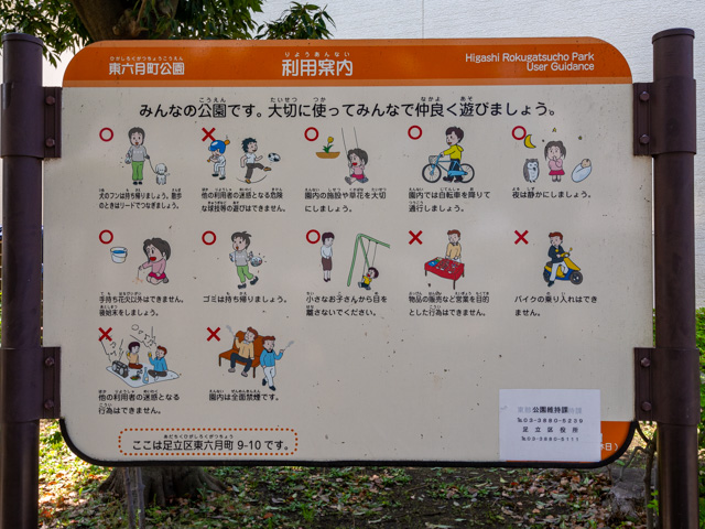 画像を別ウィンドウで表示します 画像
