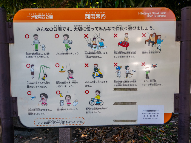画像を別ウィンドウで表示します 画像