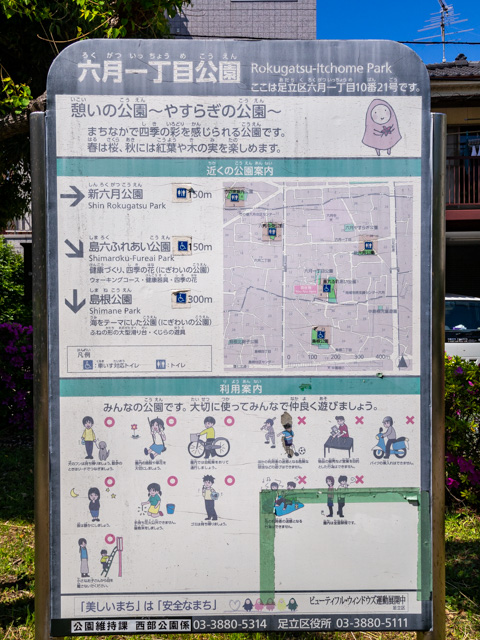 画像を別ウィンドウで表示します 画像