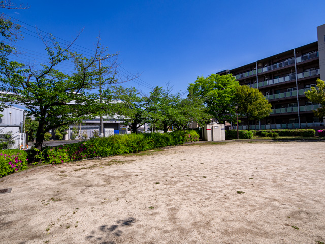 画像を別ウィンドウで表示します 画像