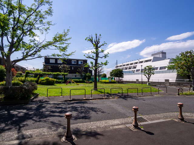 画像を別ウィンドウで表示します 画像