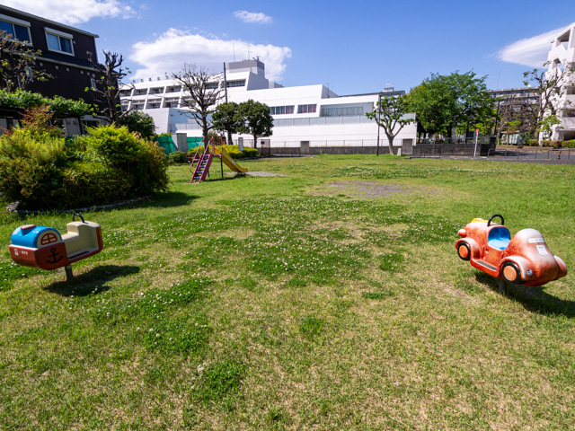 画像を別ウィンドウで表示します 画像