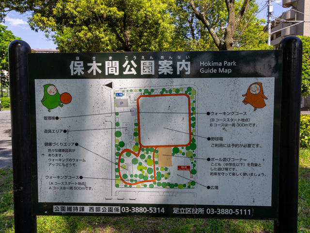 画像を別ウィンドウで表示します 画像