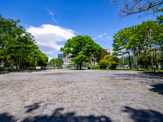 画像を別ウィンドウで表示します 画像