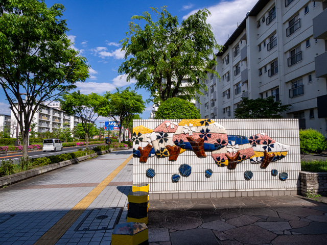 画像を別ウィンドウで表示します 画像