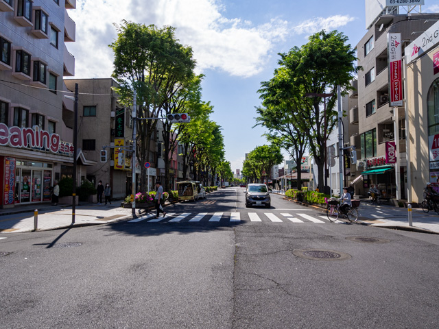 画像を別ウィンドウで表示します 画像
