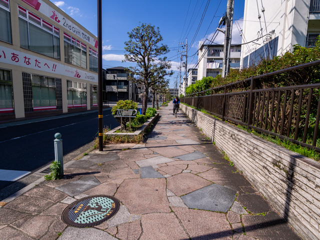 画像を別ウィンドウで表示します 画像