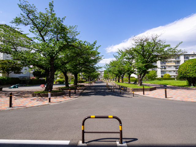 画像を別ウィンドウで表示します 画像