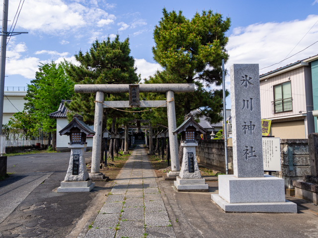 画像を別ウィンドウで表示します 画像