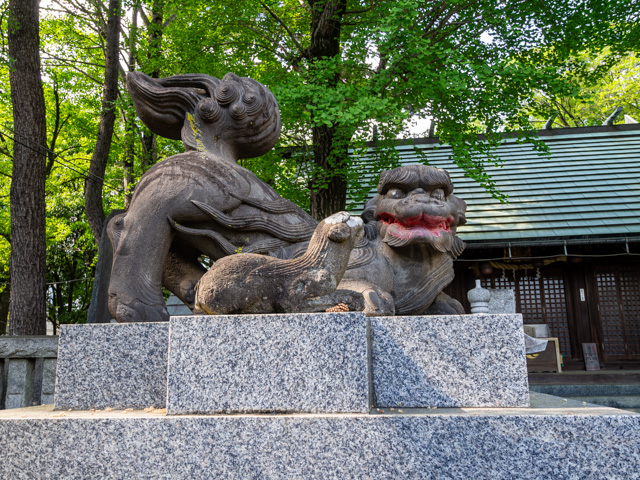 画像を別ウィンドウで表示します 画像