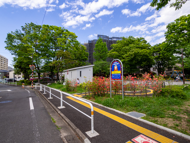 画像を別ウィンドウで表示します 画像