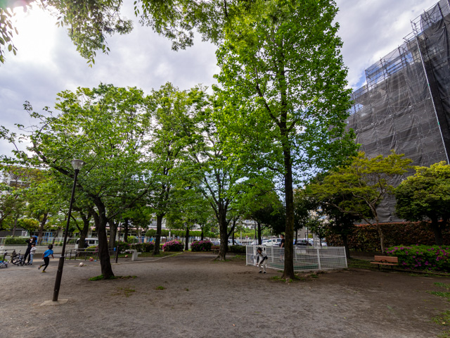 画像を別ウィンドウで表示します 画像