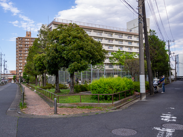 画像を別ウィンドウで表示します 画像
