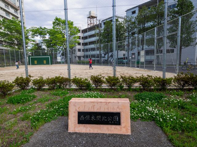 画像を別ウィンドウで表示します 画像
