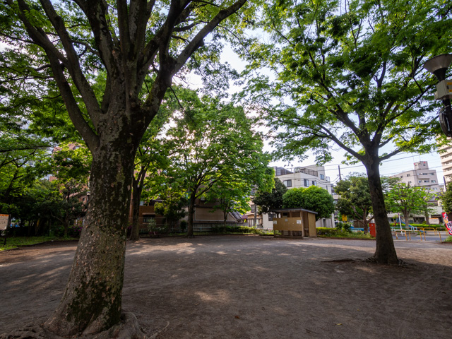 画像を別ウィンドウで表示します 画像