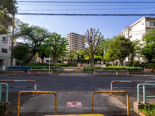 画像を別ウィンドウで表示します 画像