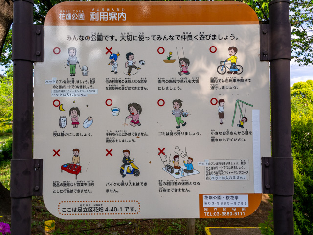 画像を別ウィンドウで表示します 画像