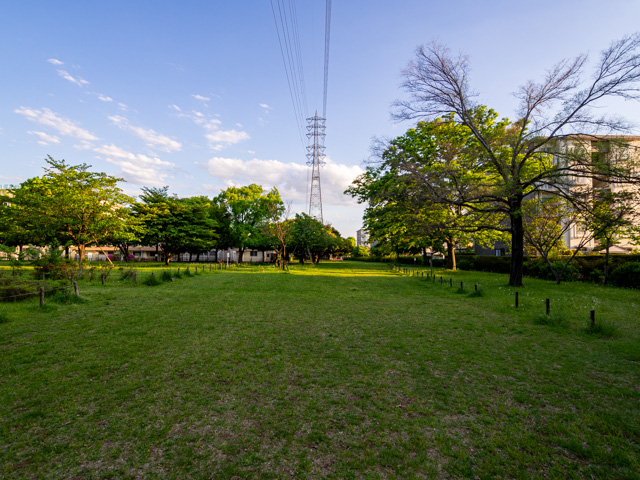 画像を別ウィンドウで表示します 画像