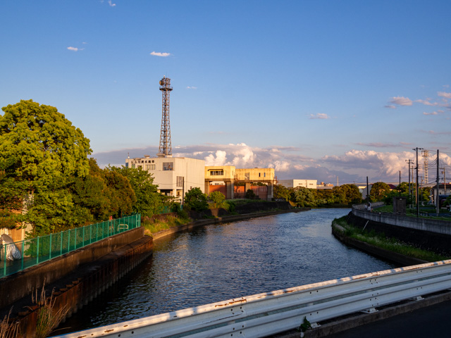 画像を別ウィンドウで表示します 画像