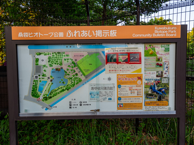 画像を別ウィンドウで表示します 画像