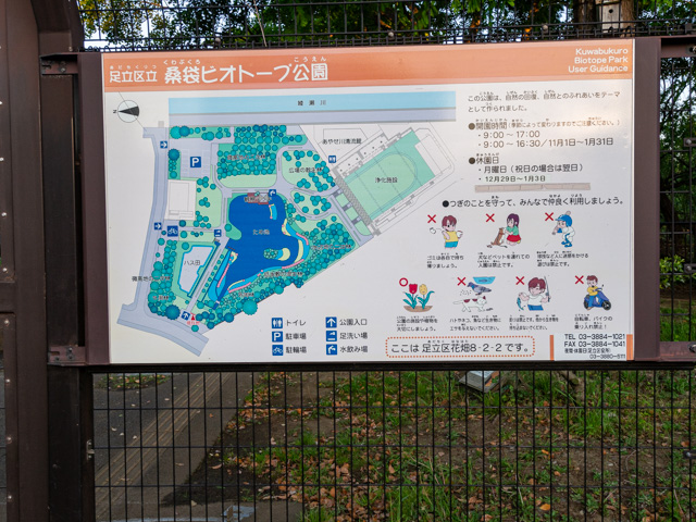画像を別ウィンドウで表示します 画像
