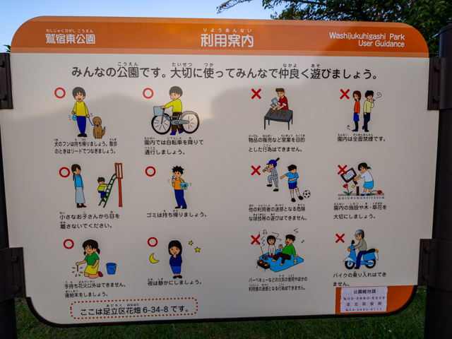 画像を別ウィンドウで表示します 画像