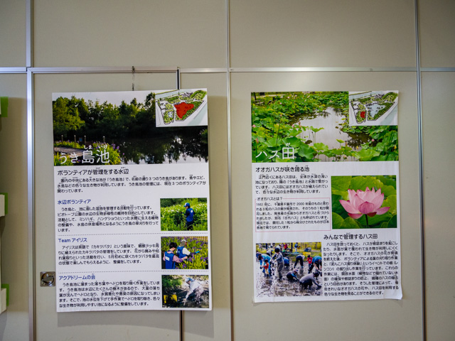 画像を別ウィンドウで表示します 画像