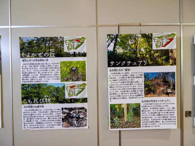 画像を別ウィンドウで表示します 画像