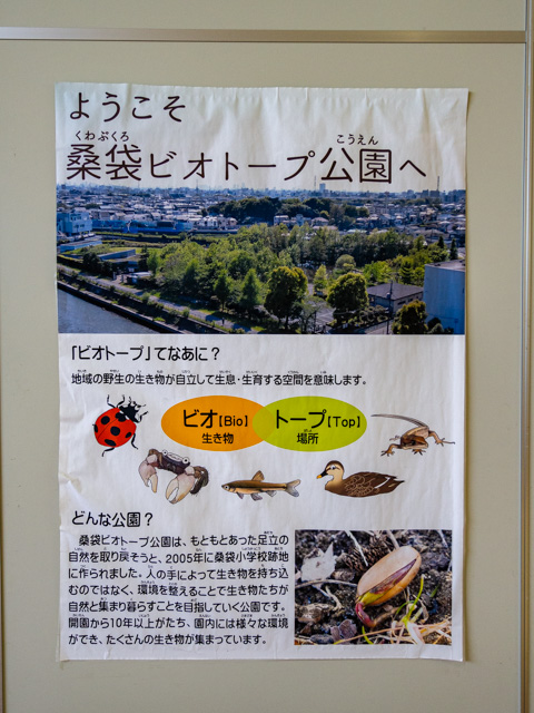 画像を別ウィンドウで表示します 画像