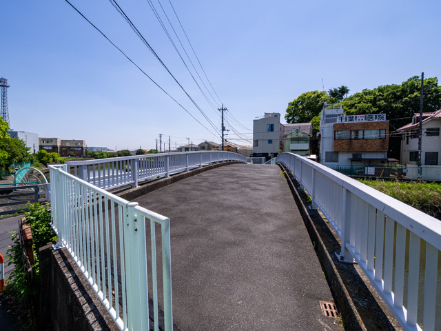 画像を別ウィンドウで表示します 画像
