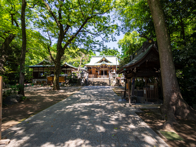 画像