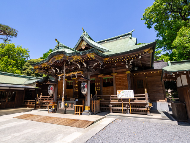 画像