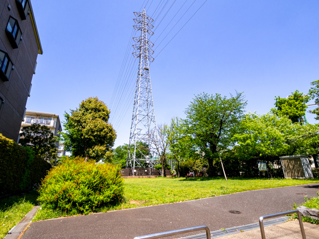 画像を別ウィンドウで表示します 画像