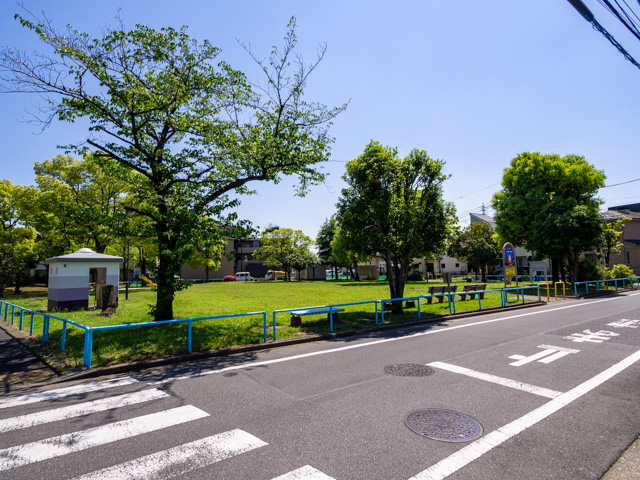 画像を別ウィンドウで表示します 画像