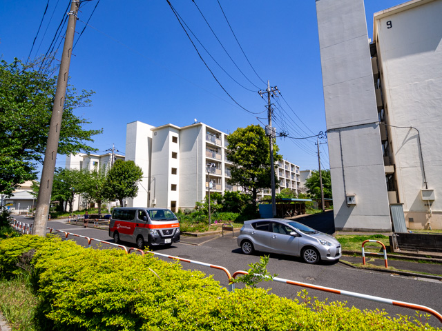 画像を別ウィンドウで表示します 画像