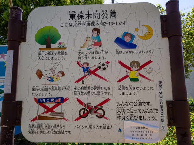 画像を別ウィンドウで表示します 画像
