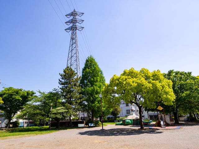 画像を別ウィンドウで表示します 画像