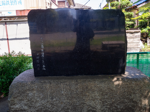 画像を別ウィンドウで表示します 画像