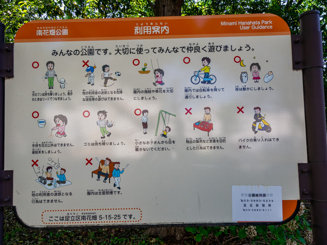 画像を別ウィンドウで表示します 画像